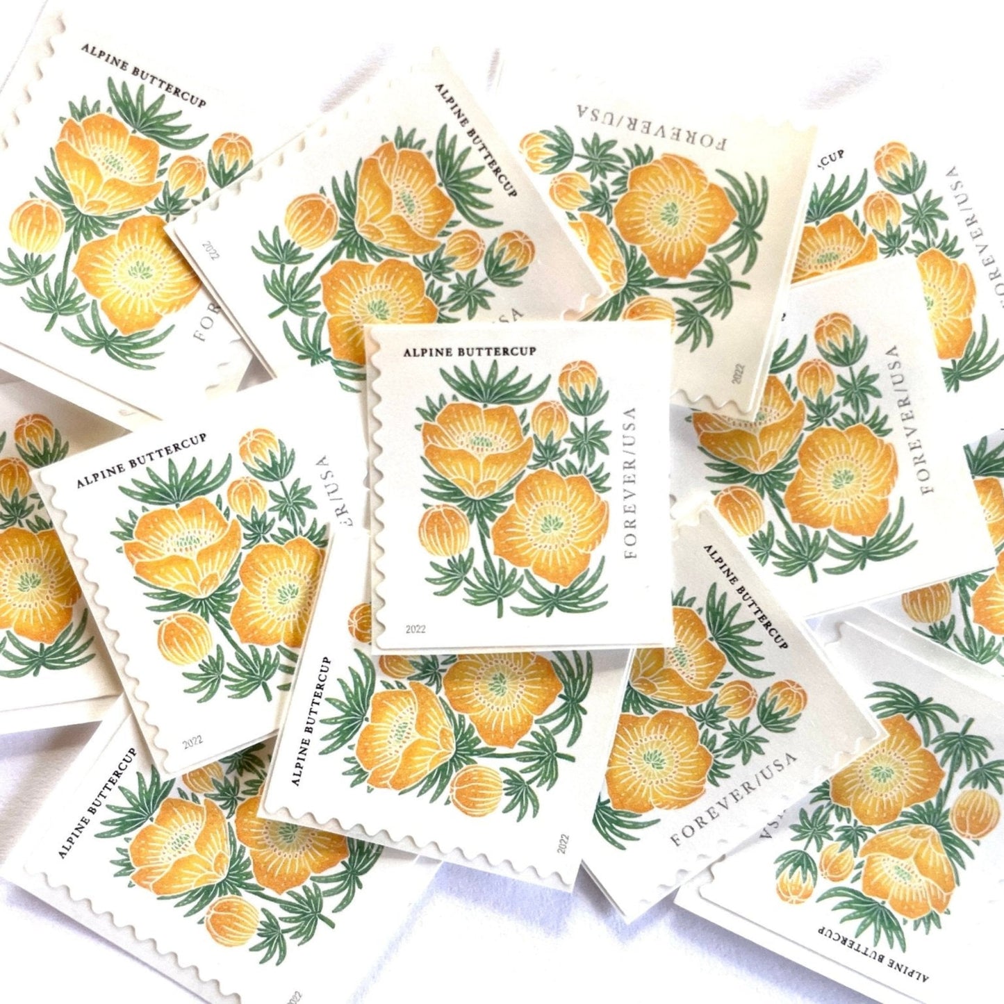 Image of 2022 Mountain Flora Series “Alpine Buttercup” unused Forever USPS mail stamps. Scott #5673. Stamp Themes: Flowers, Wildflowers, Floral, Botanical, Alpine, Mountain Flora, Spring, Mountain Wedding, Rocky Mountains, Montana, Wyoming, Colorado, Utah, New Mexico. Gold, Yellow, Green, Multicolored postage stamp. Perfect vintage postage stamp to use for save the date announcements, wedding invitation postage, shower invitations, thank you cards, birthday party invites, and snail mail.