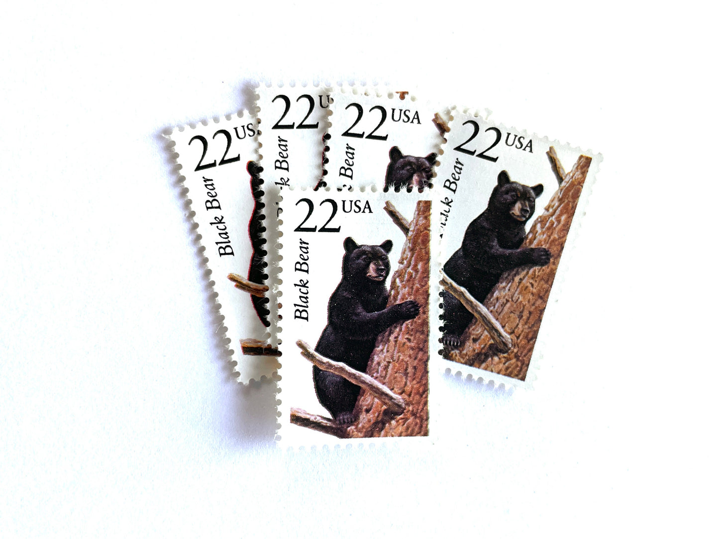 Black Bear Stamps (North American Wildlife Series, Multicolored) Vintage Unused USPS Postage 22c