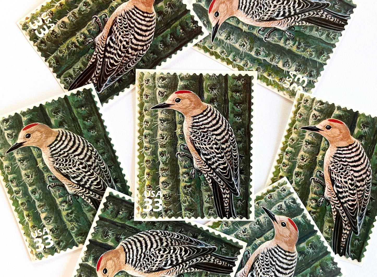 Sonoran Desert Gila Woodpecker Stamps (Nature of America Series, Birds, Desert) Vintage Unused USPS Postage 33c