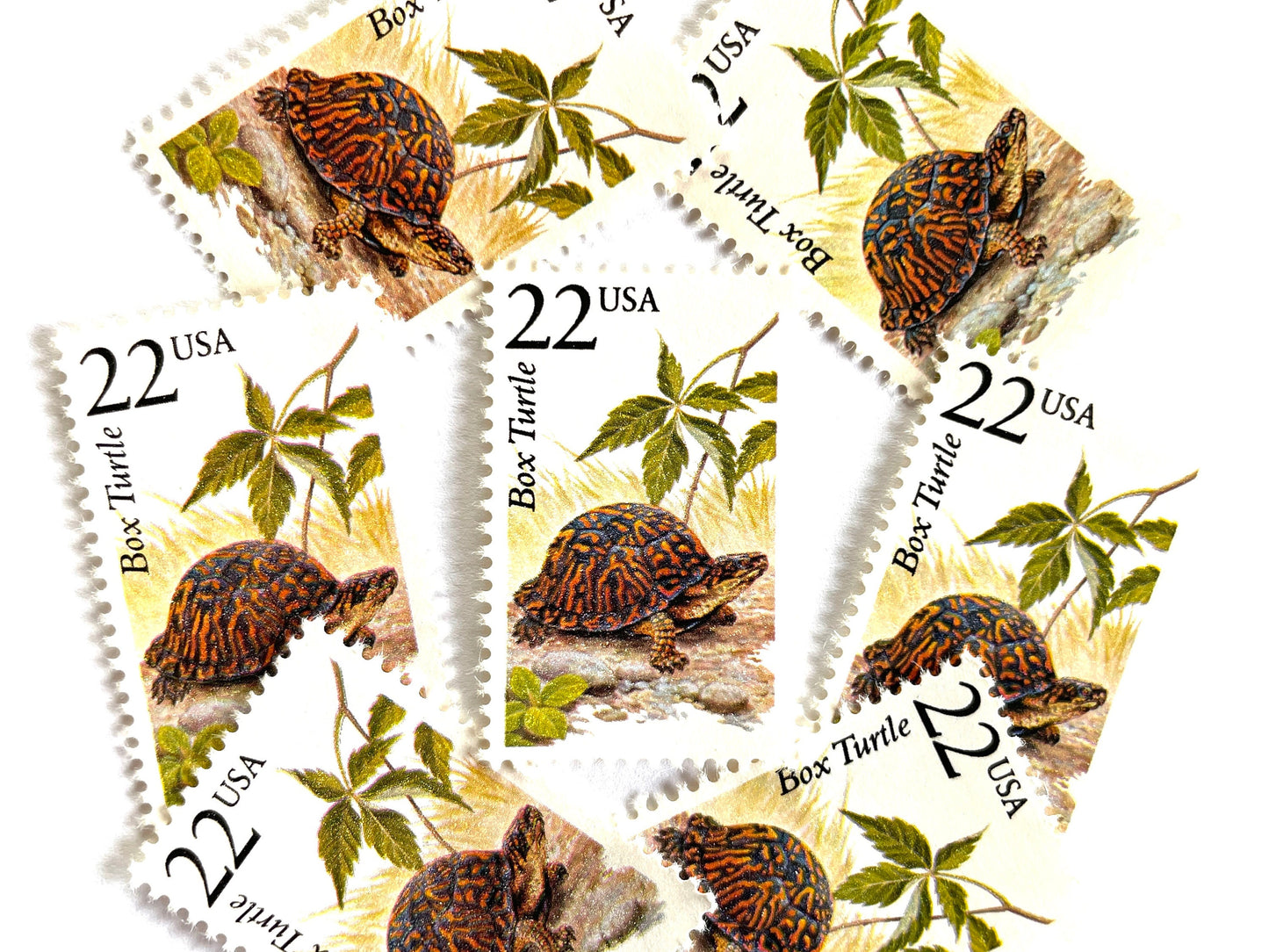 Box Turtle Stamps (North American Wildlife Series, Reptile, Multicolored) Vintage Unused USPS Postage 22c