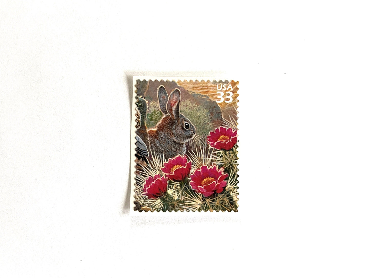 Sonoran Desert Cottontail Rabbit Stamps (Nature of America Series, Wild Animals, Bunny, Desert) Vintage Unused USPS Postage 33c
