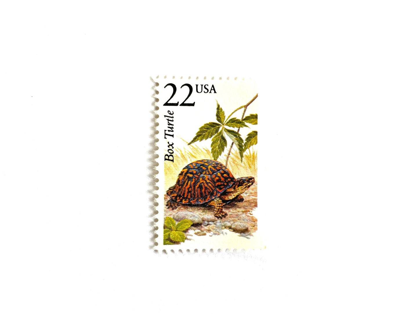 Box Turtle Stamps (North American Wildlife Series, Reptile, Multicolored) Vintage Unused USPS Postage 22c
