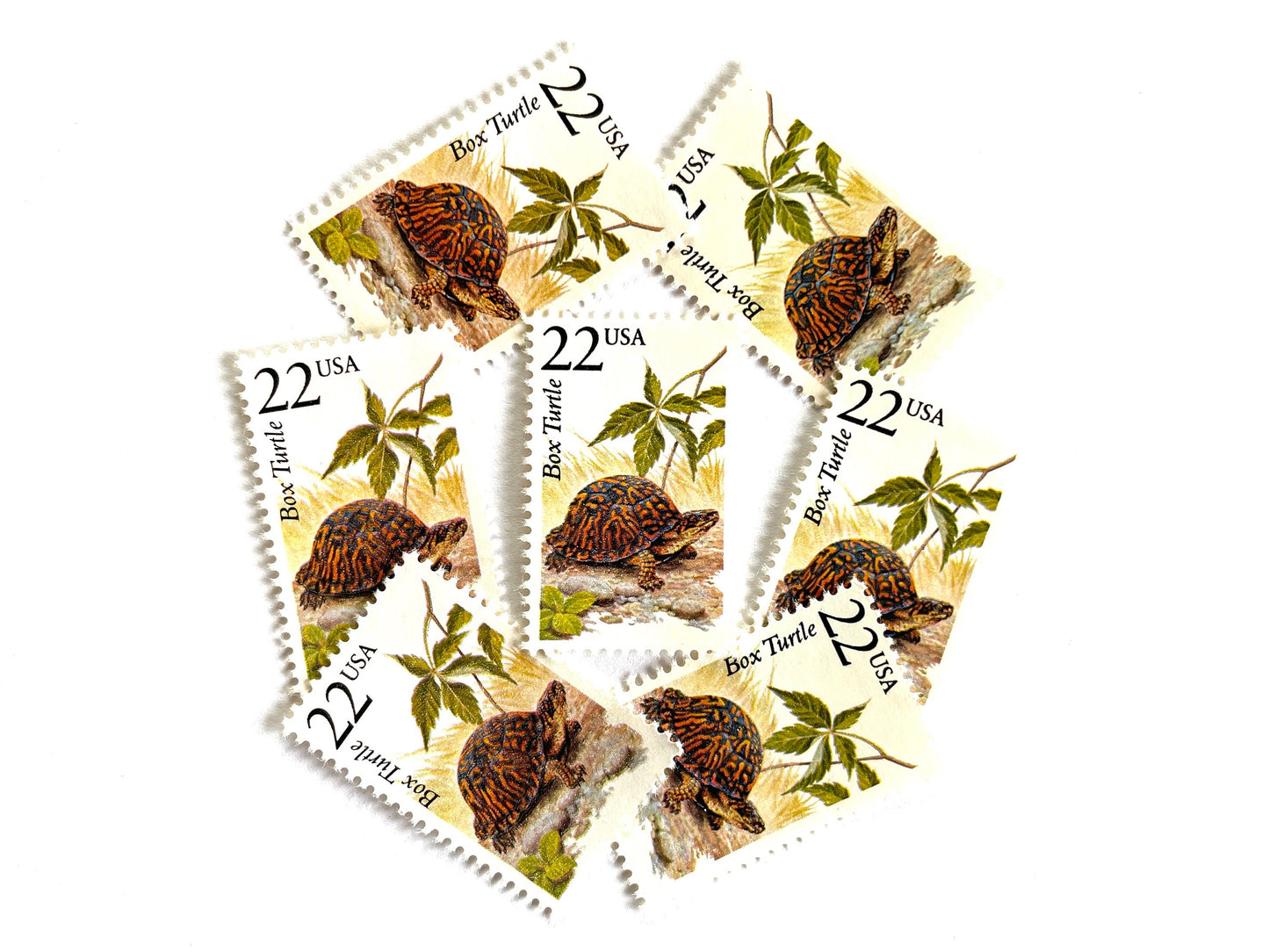 Box Turtle Stamps (North American Wildlife Series, Reptile, Multicolored) Vintage Unused USPS Postage 22c