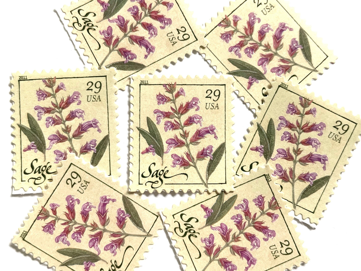 Sage Herb Stamps (Herbs, Culinary, Flowers, Bridal, Pink) Vintage Unused USPS Postage 29c