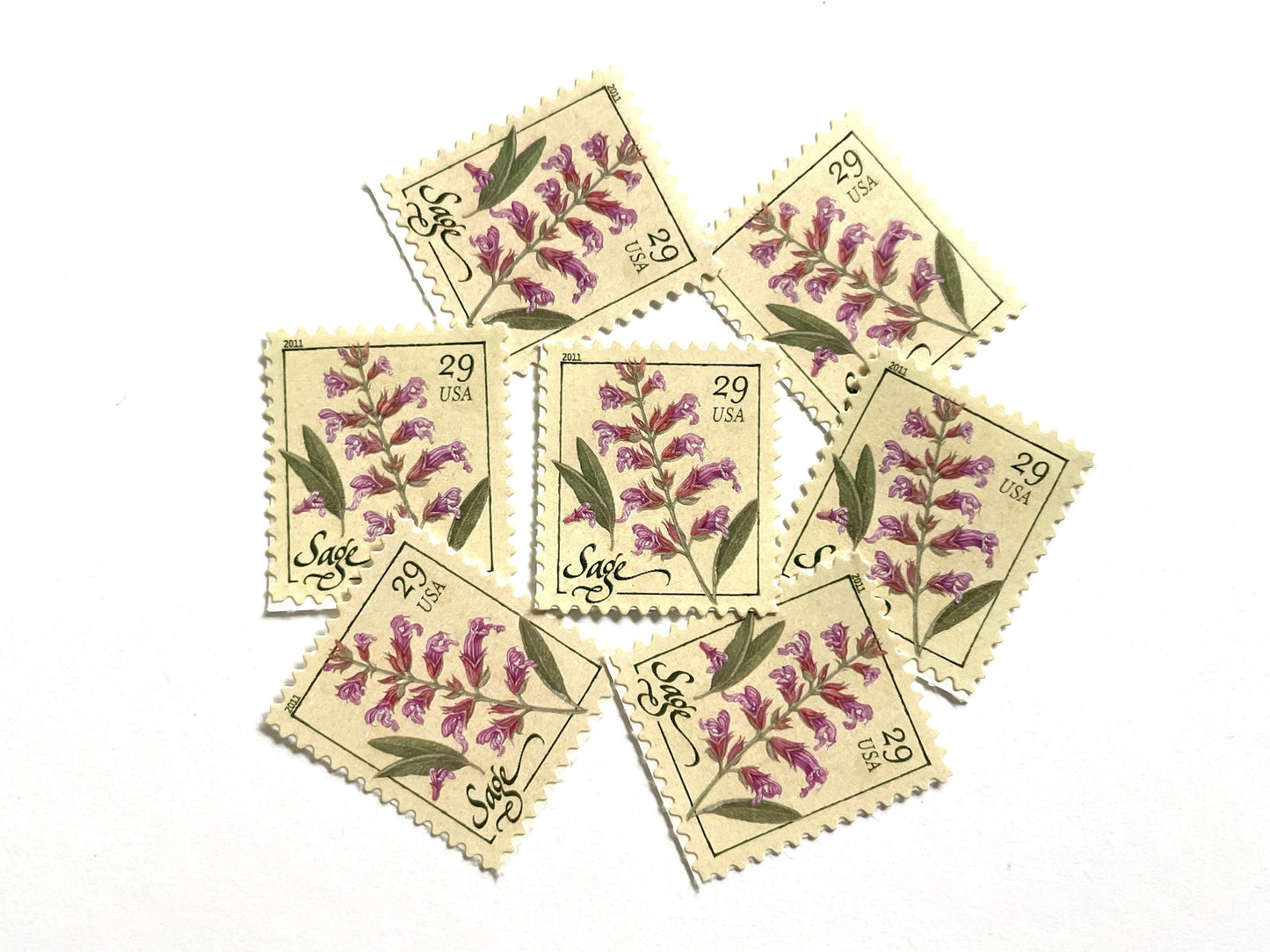 Sage Herb Stamps (Herbs, Culinary, Flowers, Bridal, Pink) Vintage Unused USPS Postage 29c