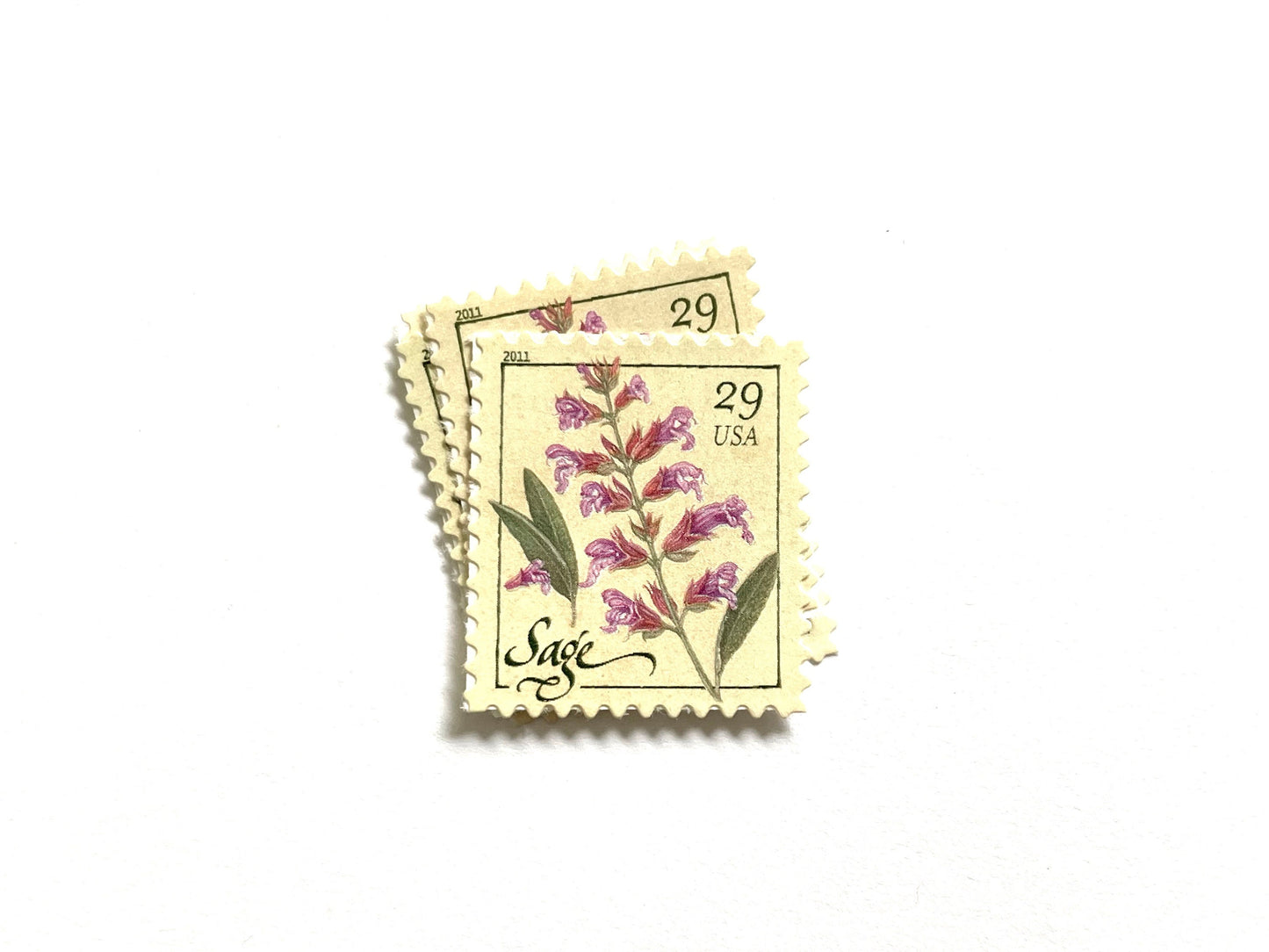 Sage Herb Stamps (Herbs, Culinary, Flowers, Bridal, Pink) Vintage Unused USPS Postage 29c