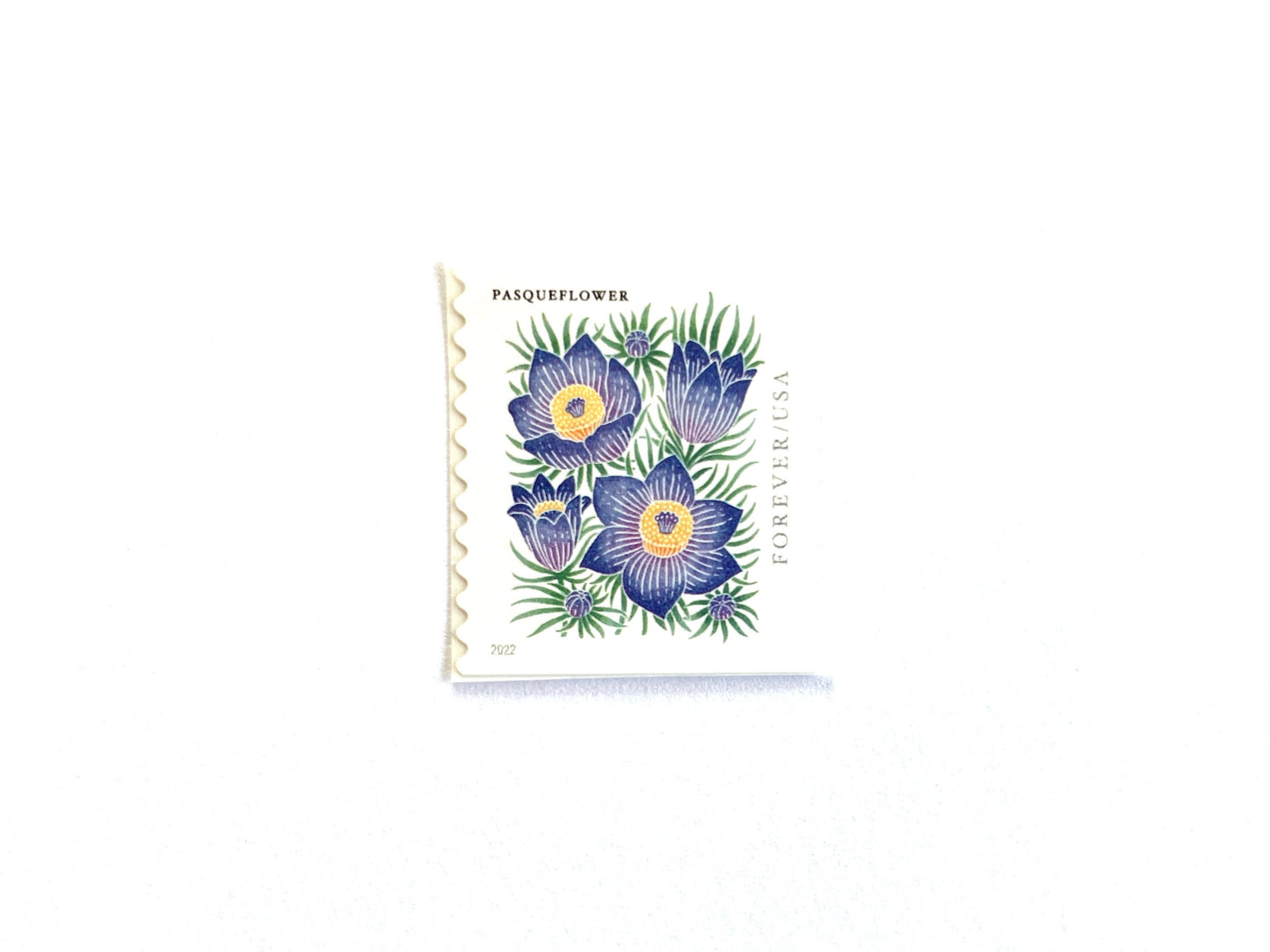Mountain Flora Pasqueflower Stamps (Purple Flower, Love, Floral, Wedding) Classic Unused USPS Postage Forever Stamp