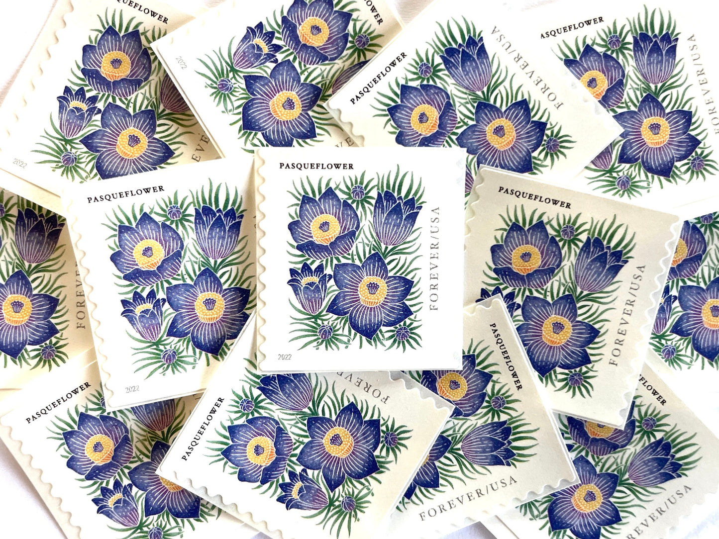Mountain Flora Pasqueflower Stamps (Purple Flower, Love, Floral, Wedding) Classic Unused USPS Postage Forever Stamp
