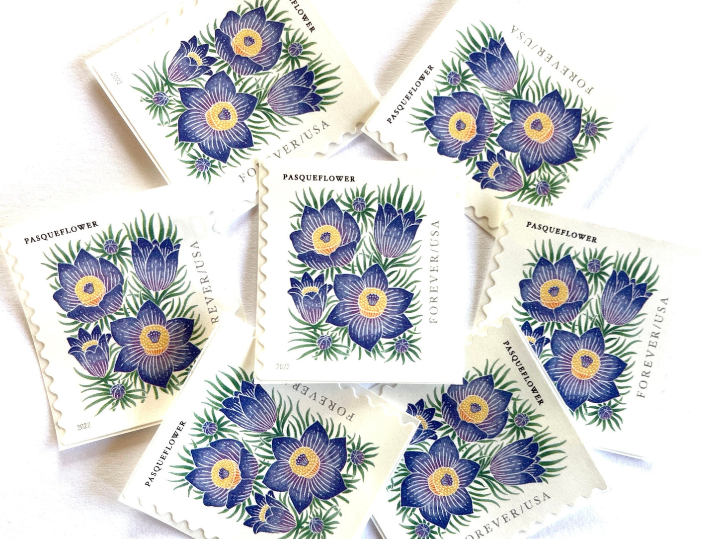 Mountain Flora Pasqueflower Stamps (Purple Flower, Love, Floral, Wedding) Classic Unused USPS Postage Forever Stamp
