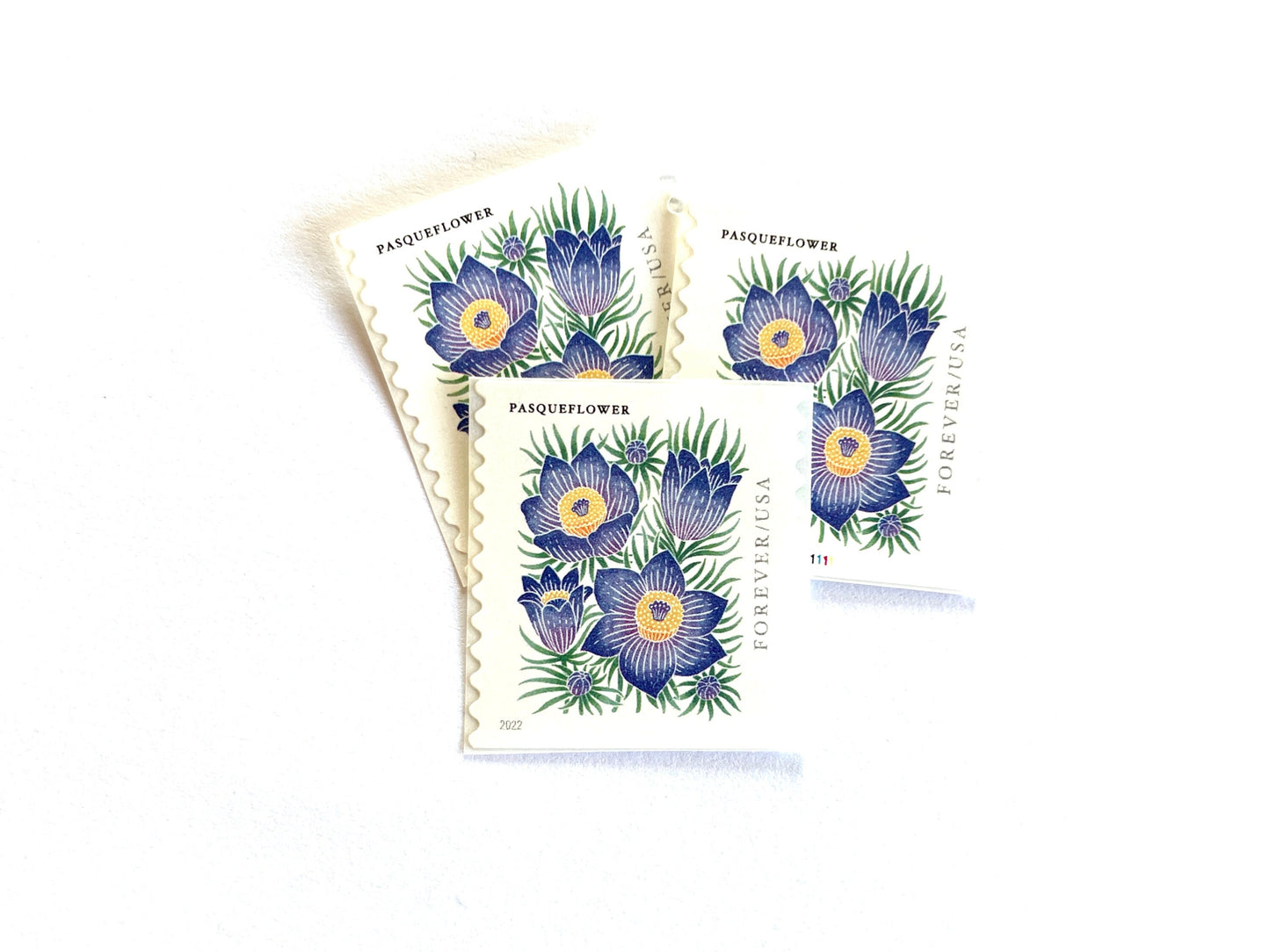 Mountain Flora Pasqueflower Stamps (Purple Flower, Love, Floral, Wedding) Classic Unused USPS Postage Forever Stamp