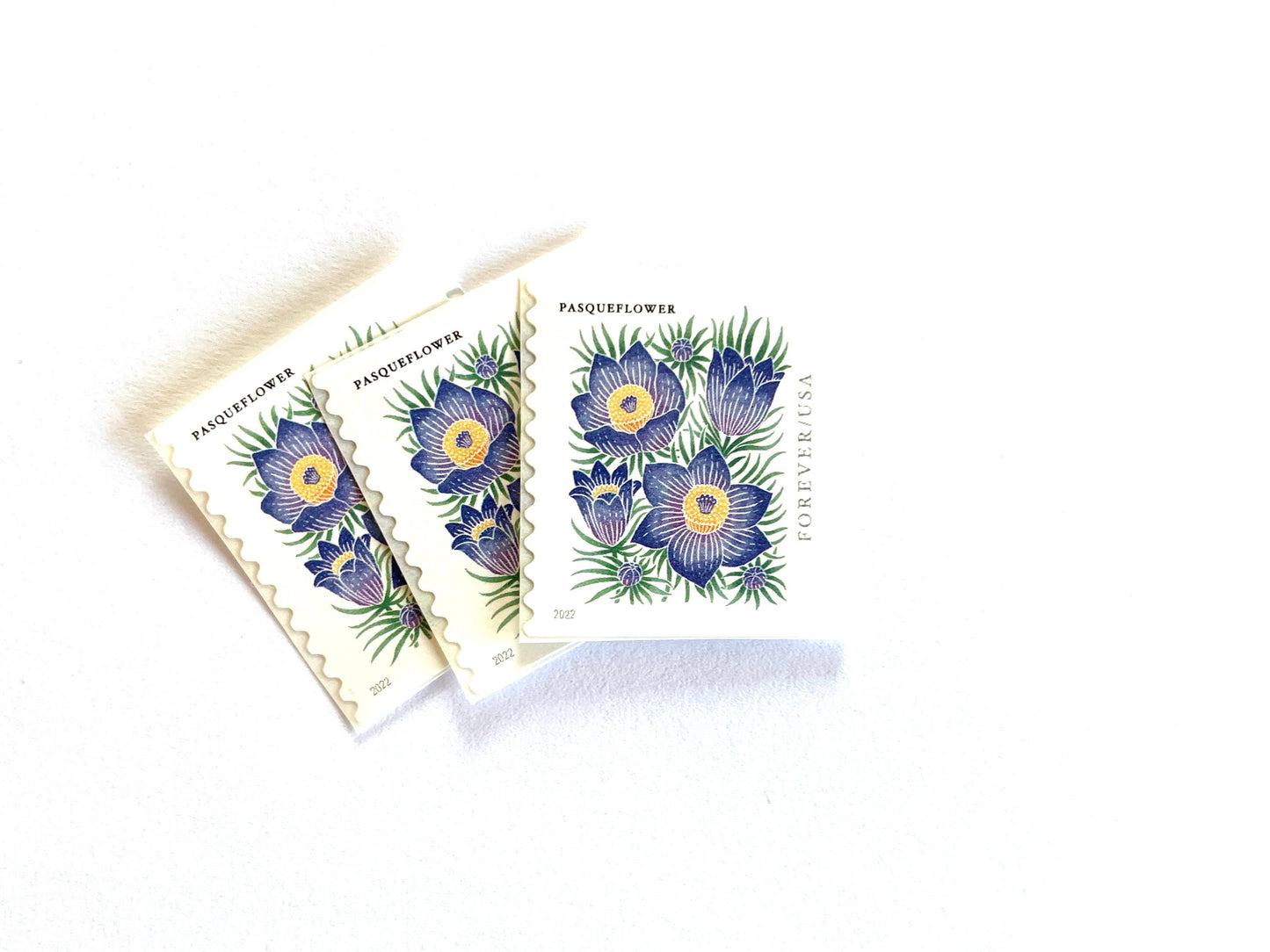 Mountain Flora Pasqueflower Stamps (Purple Flower, Love, Floral, Wedding) Classic Unused USPS Postage Forever Stamp