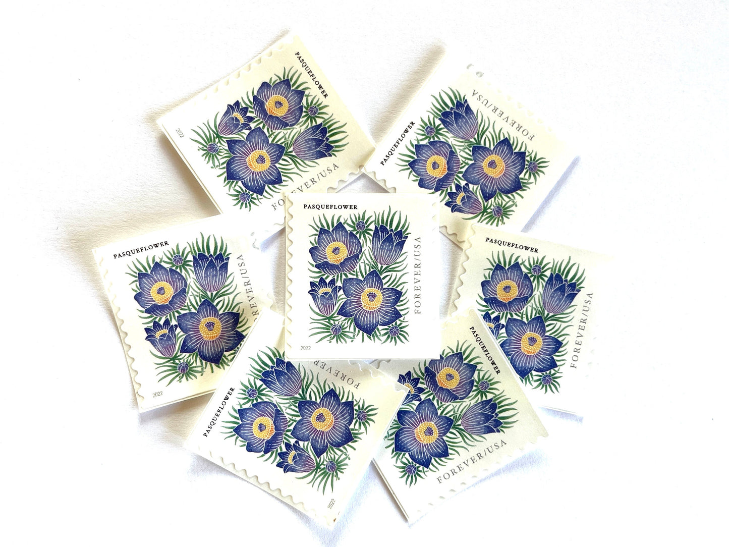 Mountain Flora Pasqueflower Stamps (Purple Flower, Love, Floral, Wedding) Classic Unused USPS Postage Forever Stamp