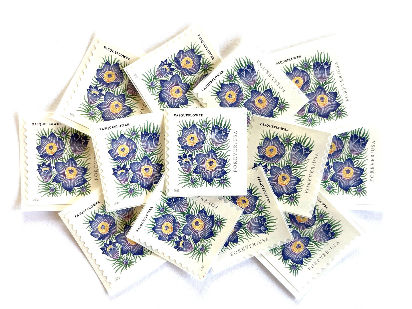 Mountain Flora Pasqueflower Stamps (Purple Flower, Love, Floral, Wedding) Classic Unused USPS Postage Forever Stamp