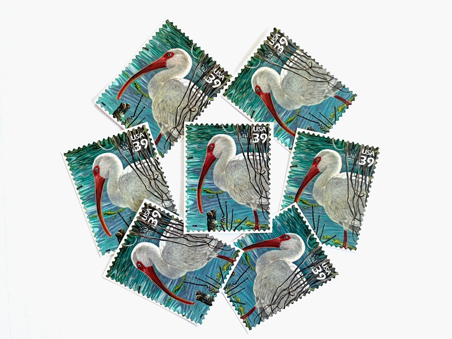 Southern Florida Wetland White Ibis Bird Stamps (Nature of America Series, Birds, Wetlands) Vintage Unused USPS Postage 39c
