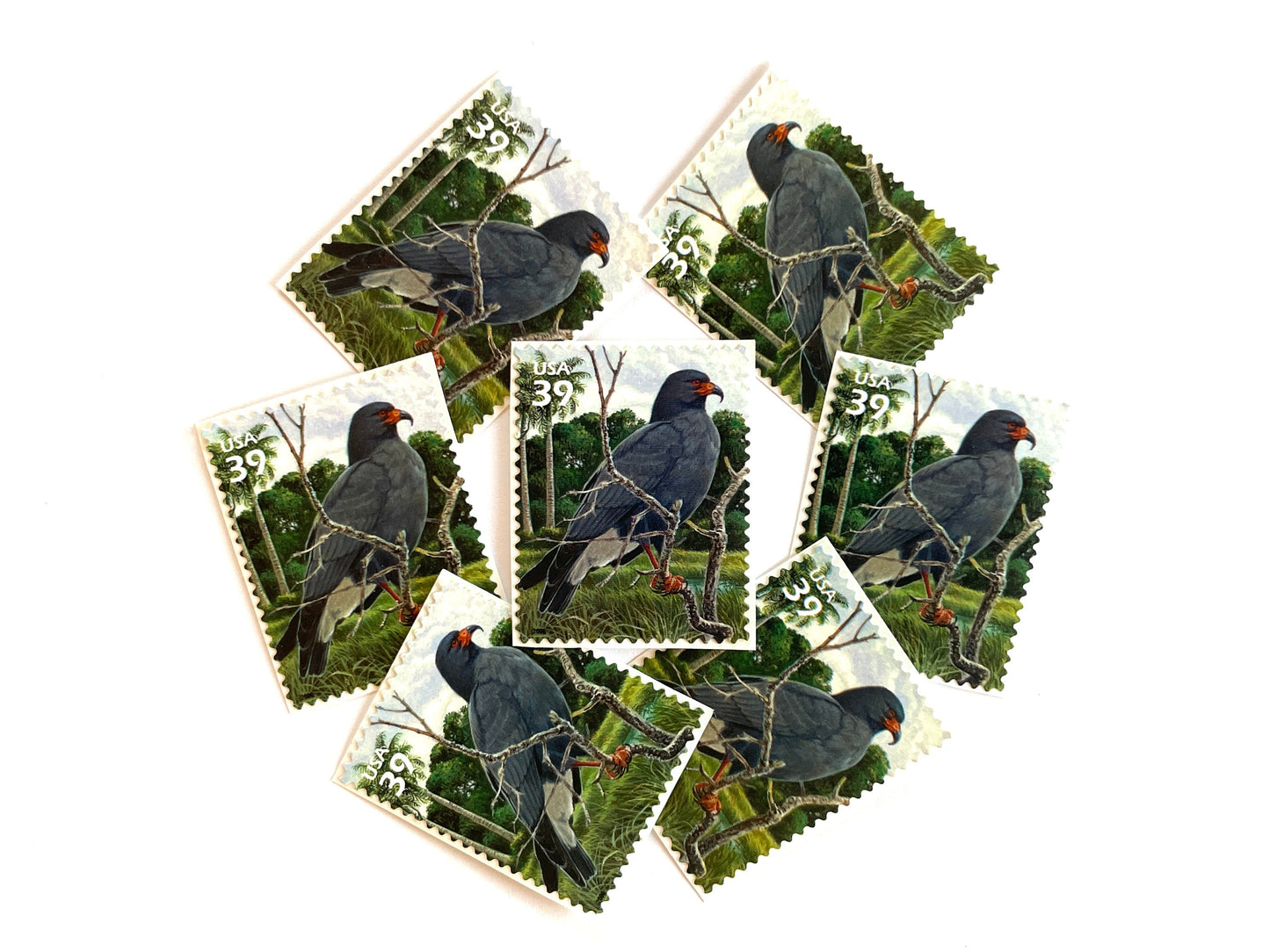 Southern Florida Wetland Snail Kite Bird Stamps (Nature of America Series, Birds, Wetlands) Vintage Unused USPS Postage 39c