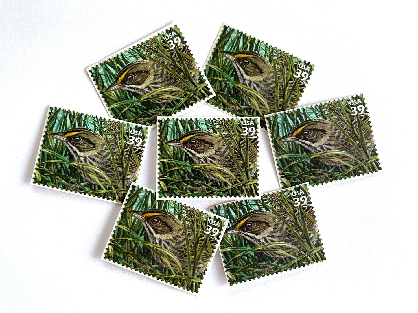 Southern Florida Wetland Seaside Sparrow Bird Stamps (Nature of America Series, Birds, Wetlands) Vintage Unused USPS Postage 39c