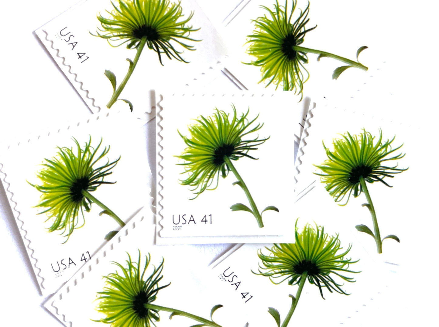 Chrysanthemum Stamps (Beautiful Blooms, Flowers, Bridal, Green) Vintage Unused USPS Postage 41c