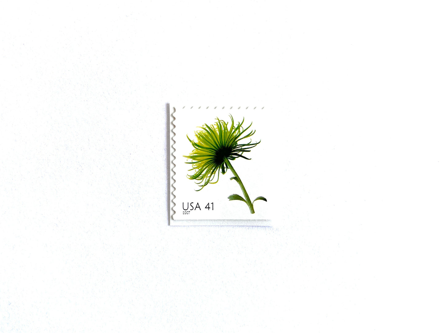 Chrysanthemum Stamps (Beautiful Blooms, Flowers, Bridal, Green) Vintage Unused USPS Postage 41c