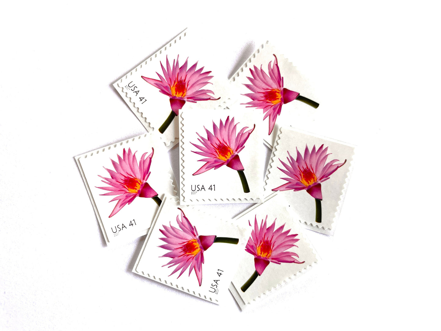 Pink Water Lily Stamps (Beautiful Blooms Series, Flowers, Bridal, Pink) Vintage Unused USPS Postage 41c