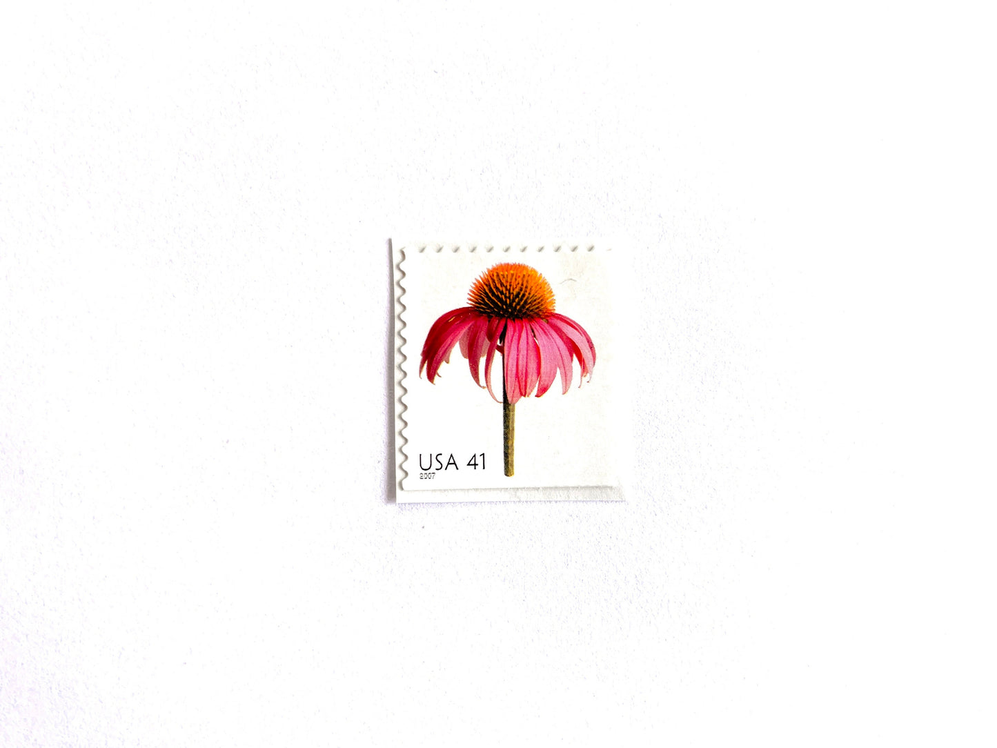 Pink Coneflower Stamps (Beautiful Blooms, Flowers, Bridal, Pink) Vintage Unused USPS Postage 41 cents