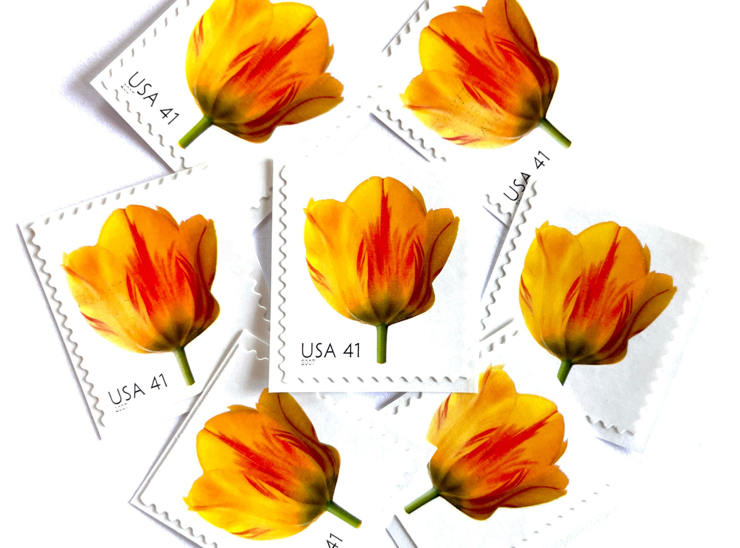 Tulip Stamps (Beautiful Blooms Series, Flowers, Bridal, Yellow) Vintage Unused USPS Postage 41c