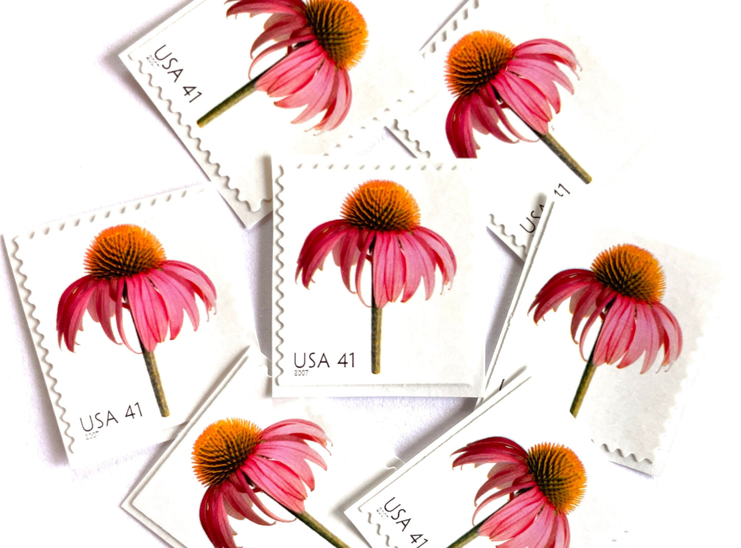 Pink Coneflower Stamps (Beautiful Blooms, Flowers, Bridal, Pink) Vintage Unused USPS Postage 41 cents