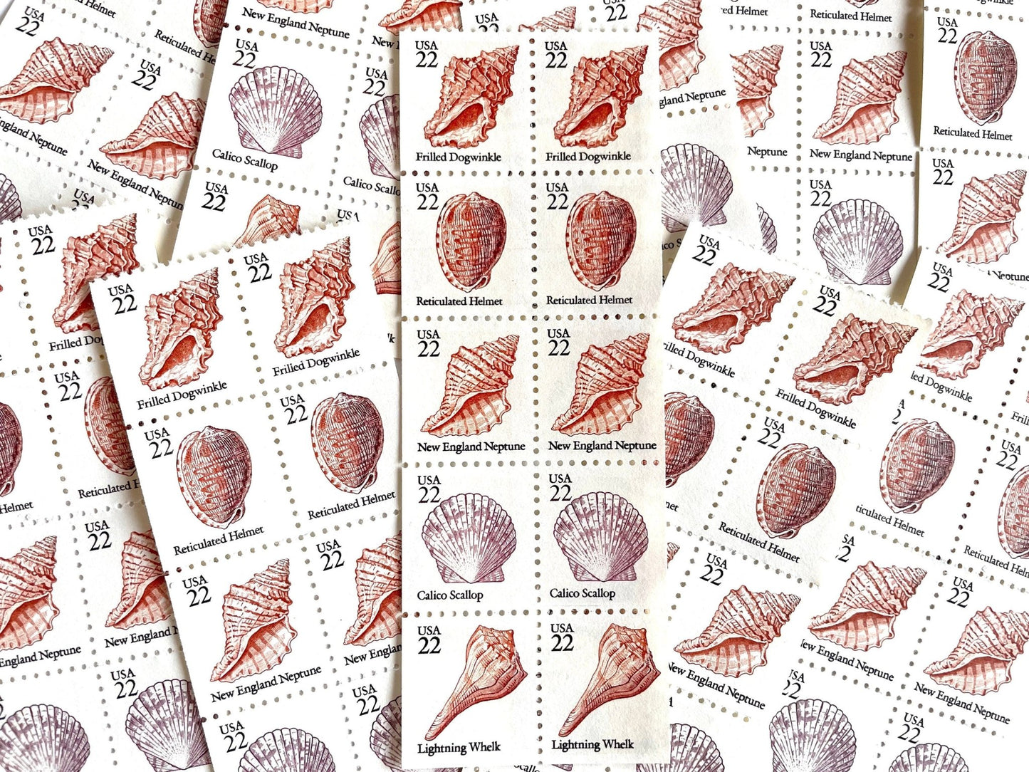 Vintage Unused Seashell Set of 5 Stamps (Beach, Ocean, Sea, Nautical, Pink) USPS Postage 22c ea/$1.10 per set - Heritage Post House