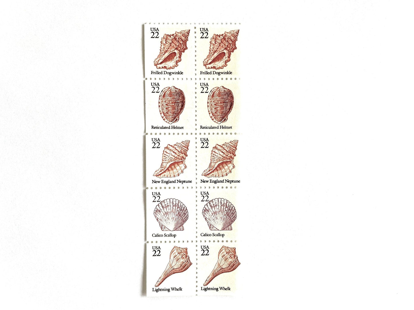 Vintage Unused Seashell Set of 5 Stamps (Beach, Ocean, Sea, Nautical, Pink) USPS Postage 22c ea/$1.10 per set - Heritage Post House