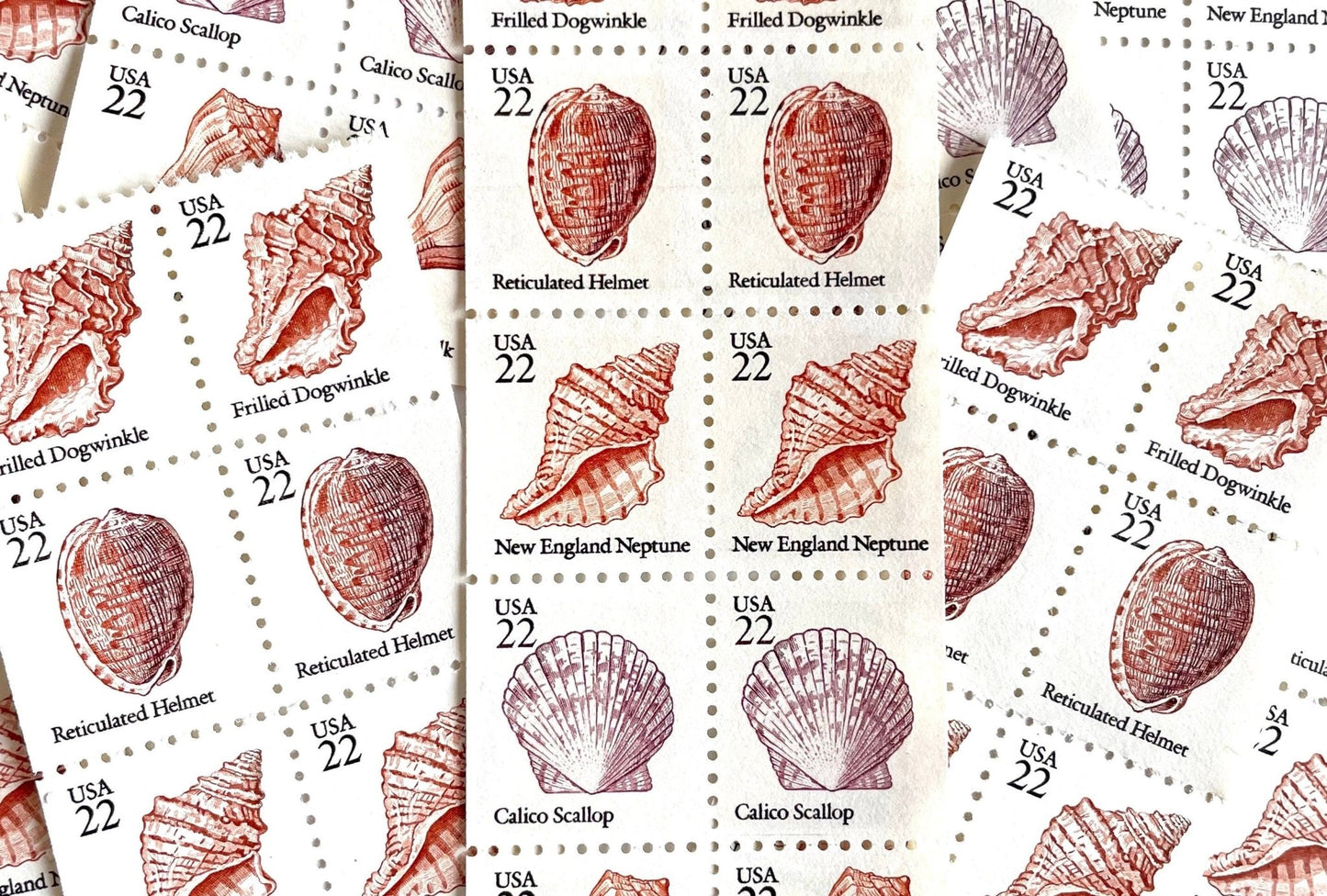Vintage Unused Seashell Set of 5 Stamps (Beach, Ocean, Sea, Nautical, Pink) USPS Postage 22c ea/$1.10 per set - Heritage Post House