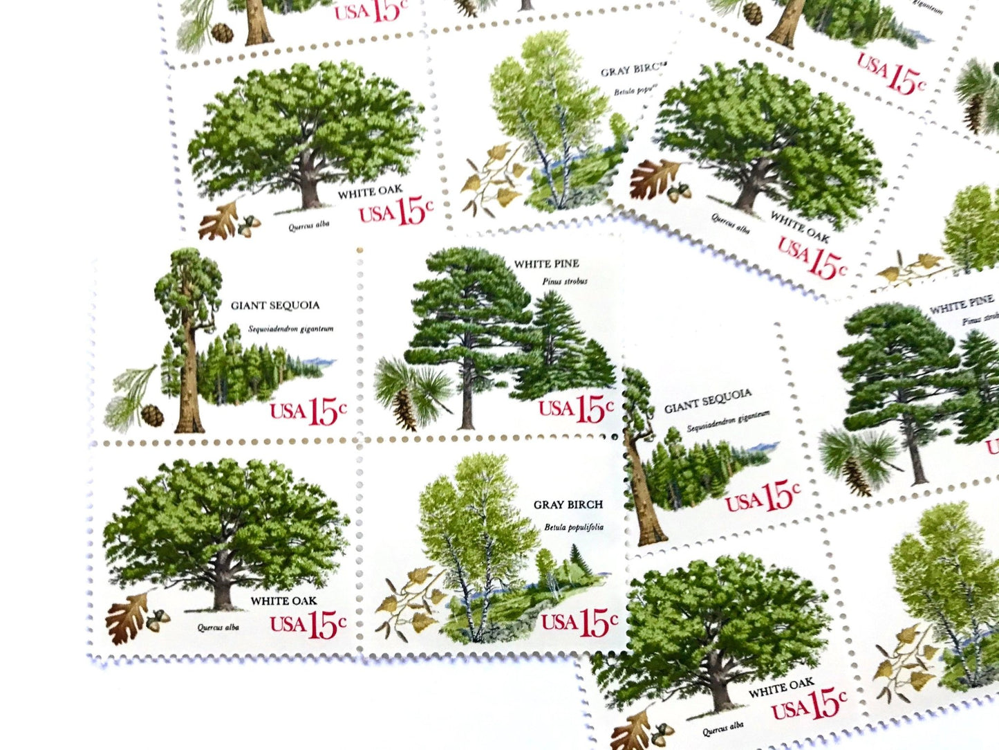 Vintage Unused Set of 4 American Trees Stamps (Oak, Birch, Pine, Sequoia) USPS Postage 15c ea./60c per set - Heritage Post House