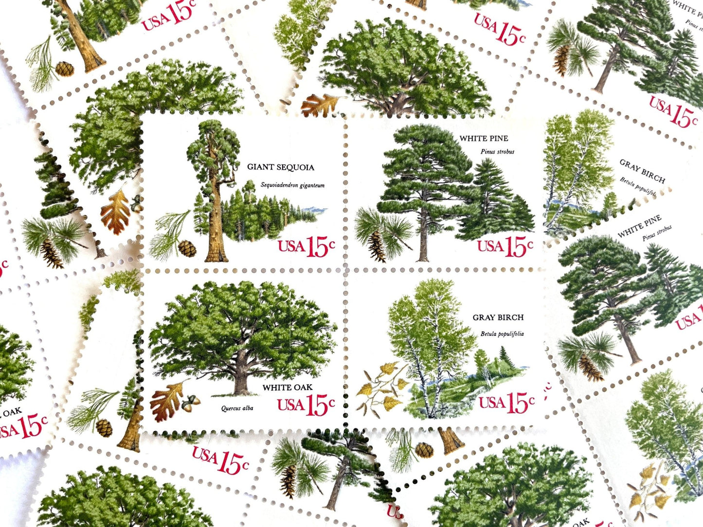 Vintage Unused Set of 4 American Trees Stamps (Oak, Birch, Pine, Sequoia) USPS Postage 15c ea./60c per set - Heritage Post House