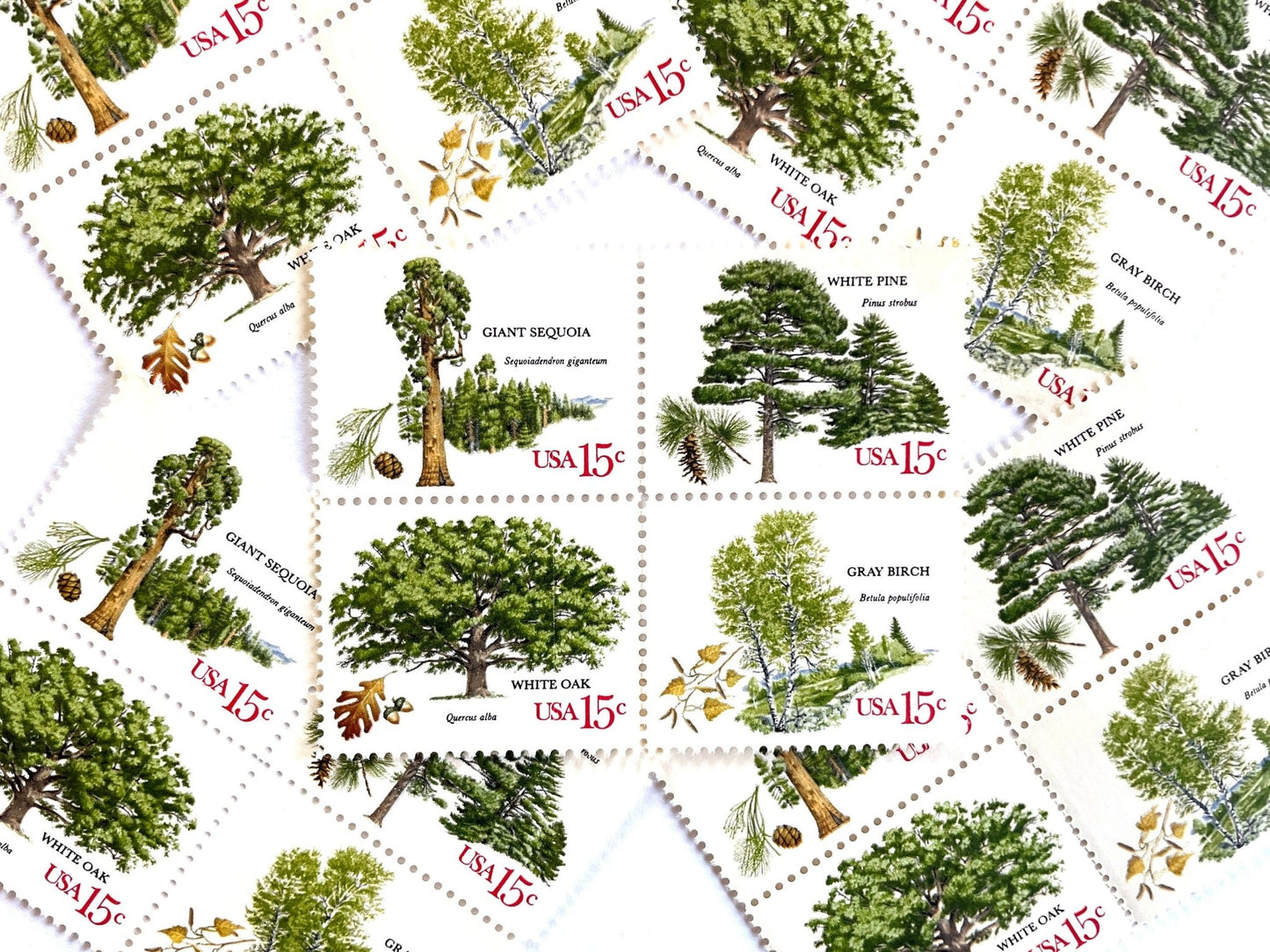 Vintage Unused Set of 4 American Trees Stamps (Oak, Birch, Pine, Sequoia) USPS Postage 15c ea./60c per set - Heritage Post House