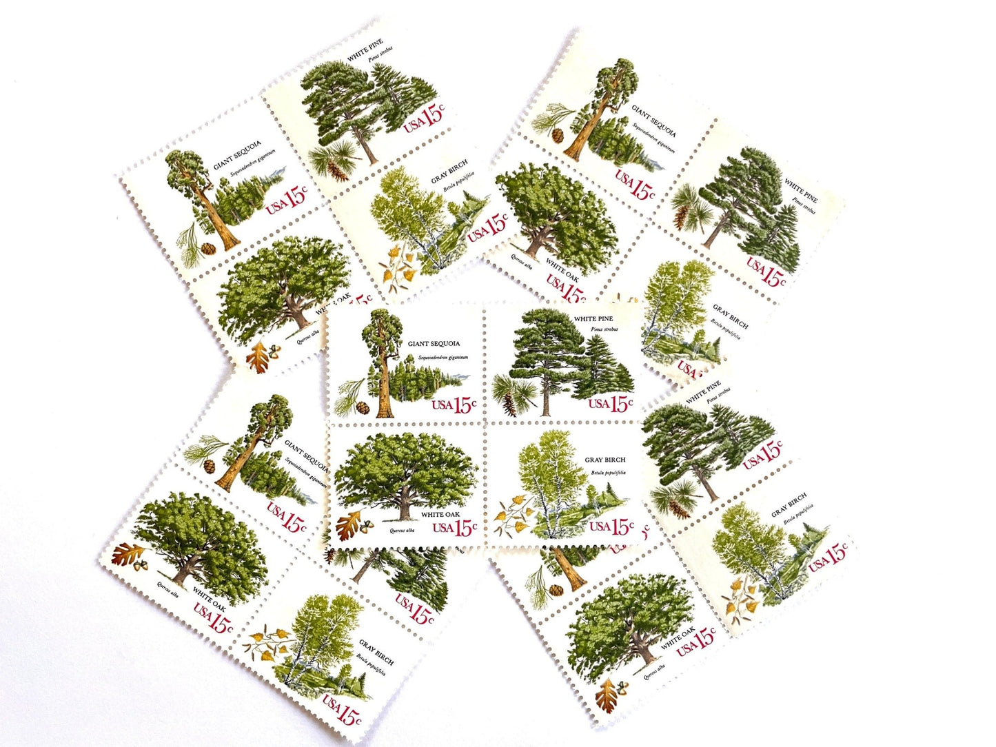 Vintage Unused Set of 4 American Trees Stamps (Oak, Birch, Pine, Sequoia) USPS Postage 15c ea./60c per set - Heritage Post House