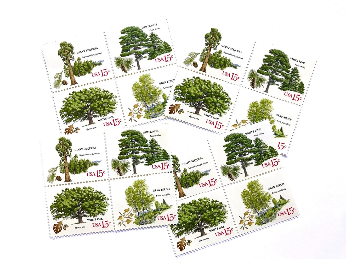 Vintage Unused Set of 4 American Trees Stamps (Oak, Birch, Pine, Sequoia) USPS Postage 15c ea./60c per set - Heritage Post House