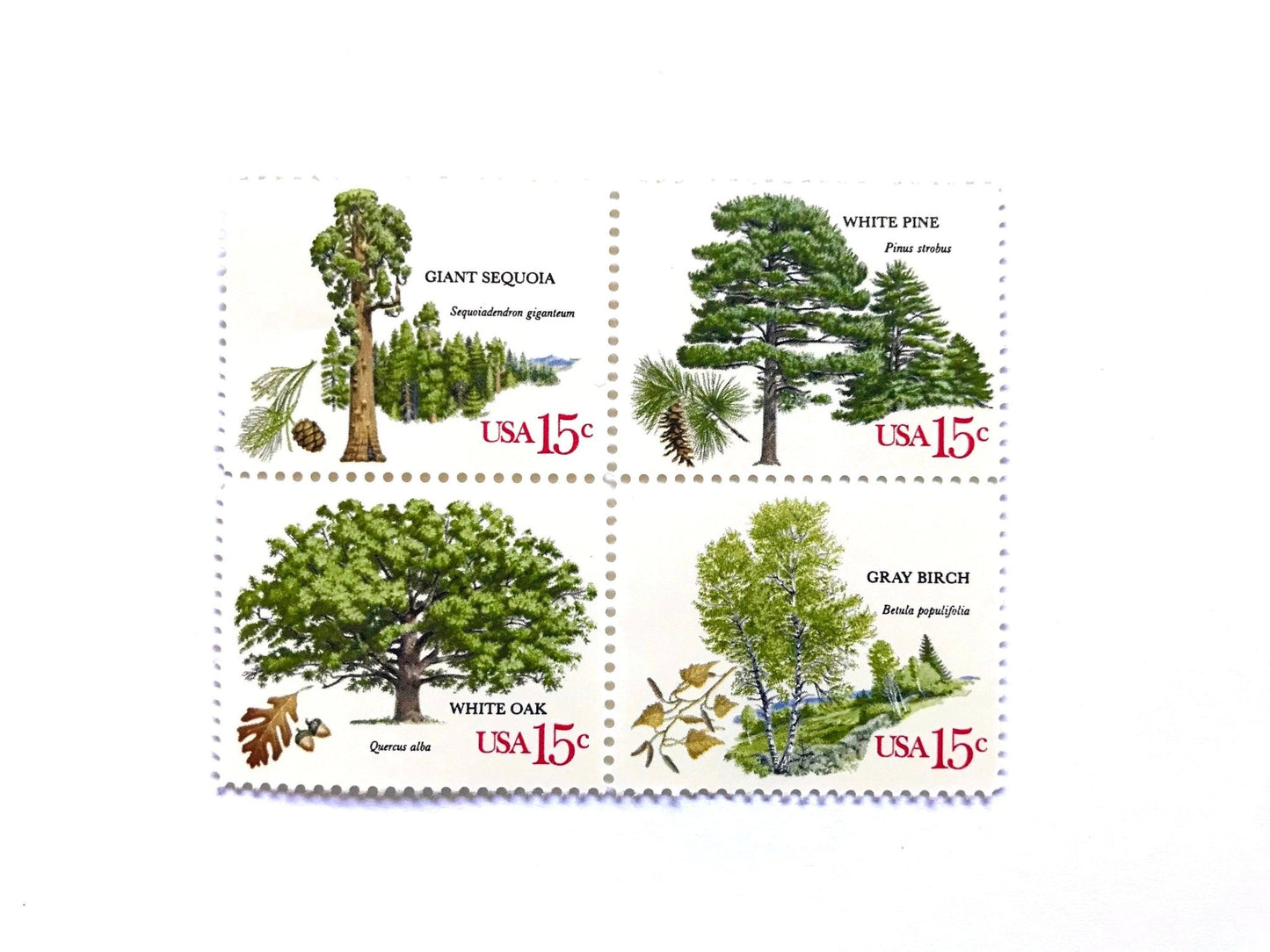Vintage Unused Set of 4 American Trees Stamps (Oak, Birch, Pine, Sequoia) USPS Postage 15c ea./60c per set - Heritage Post House