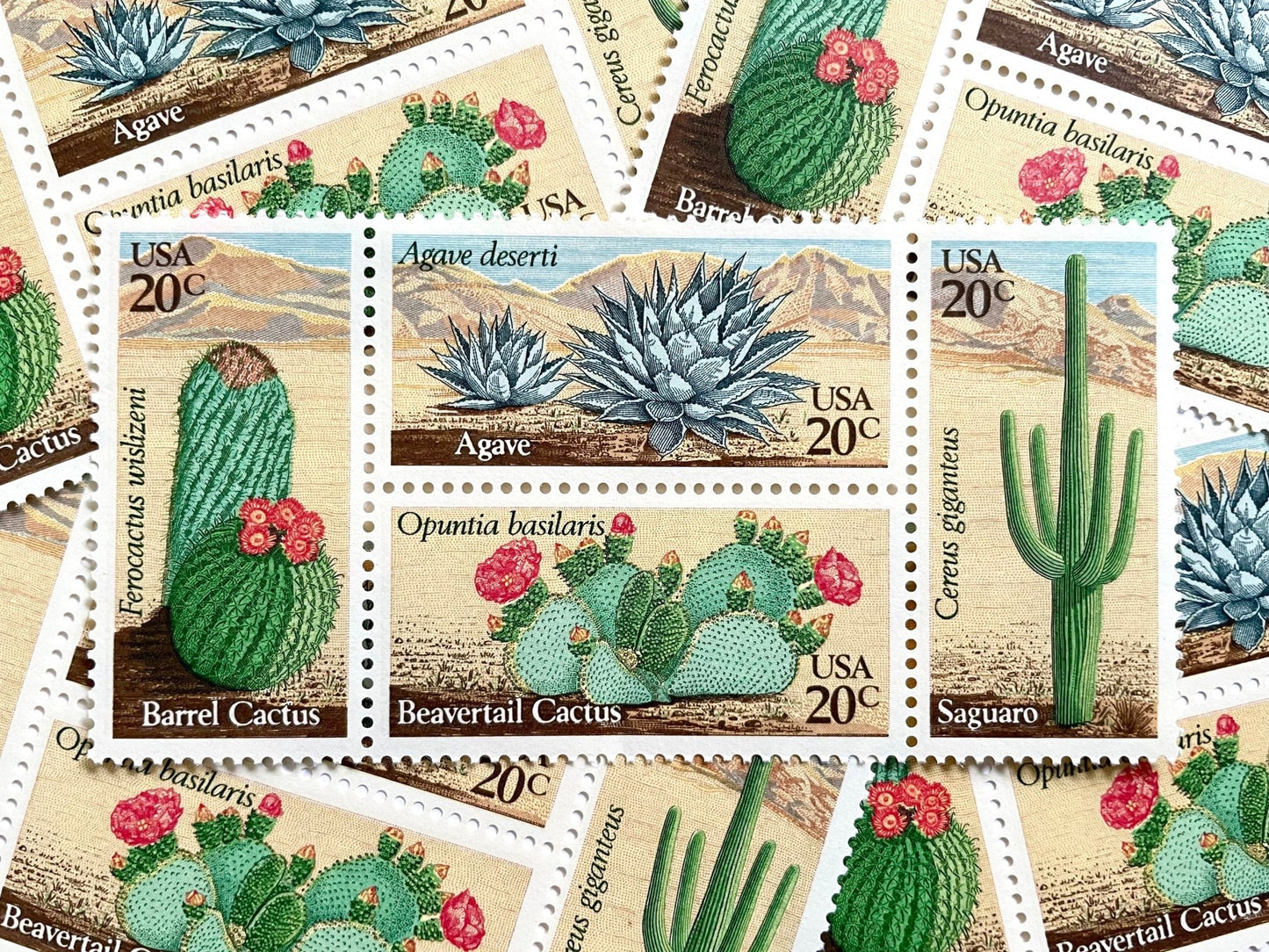 Vintage Unused Set of 4 Desert Plants Stamps (Cactus , Se - tenant) USPS Postage 20c ea./80c per set - Heritage Post House