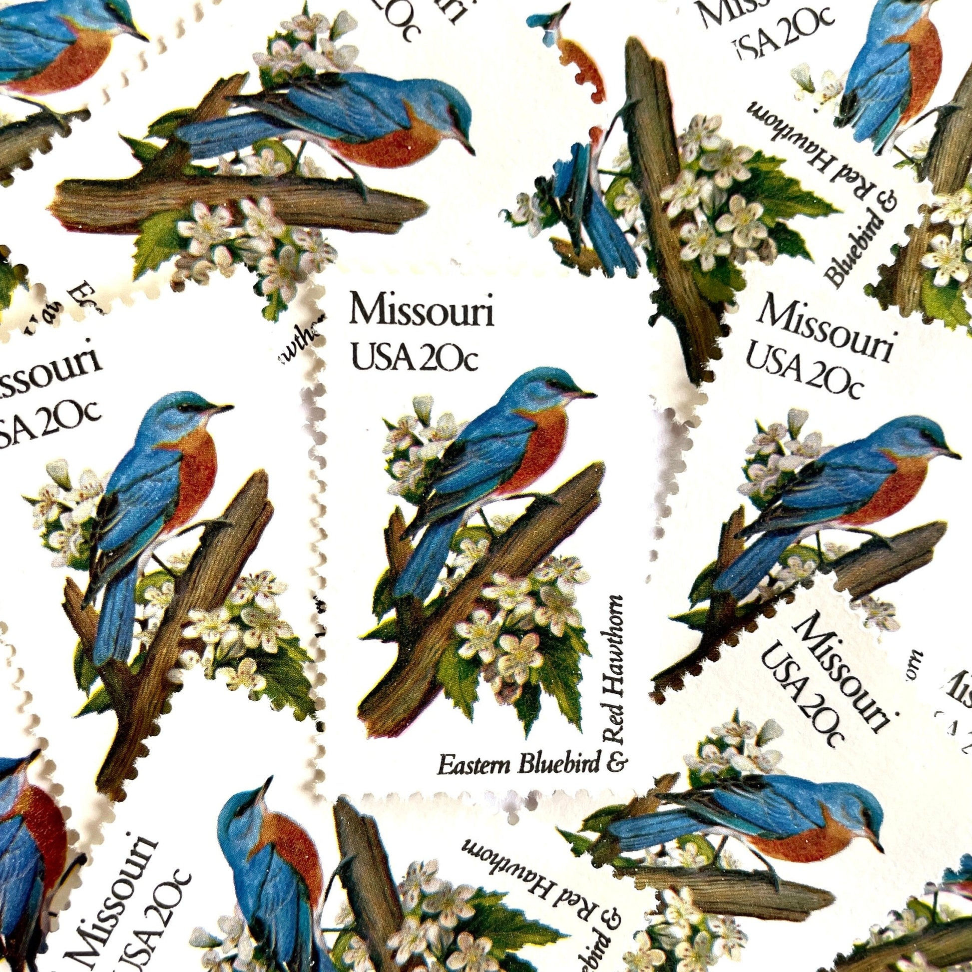 Image of Missouri State Bird and Flower postage stamps from 1982, featuring a Bluebird and Hawthorn Blossom on vintage unused 20-cent USPS postage, Scott 1977.