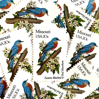 Image of Missouri State Bird and Flower postage stamps from 1982, featuring a Bluebird and Hawthorn Blossom on vintage unused 20-cent USPS postage, Scott 1977.