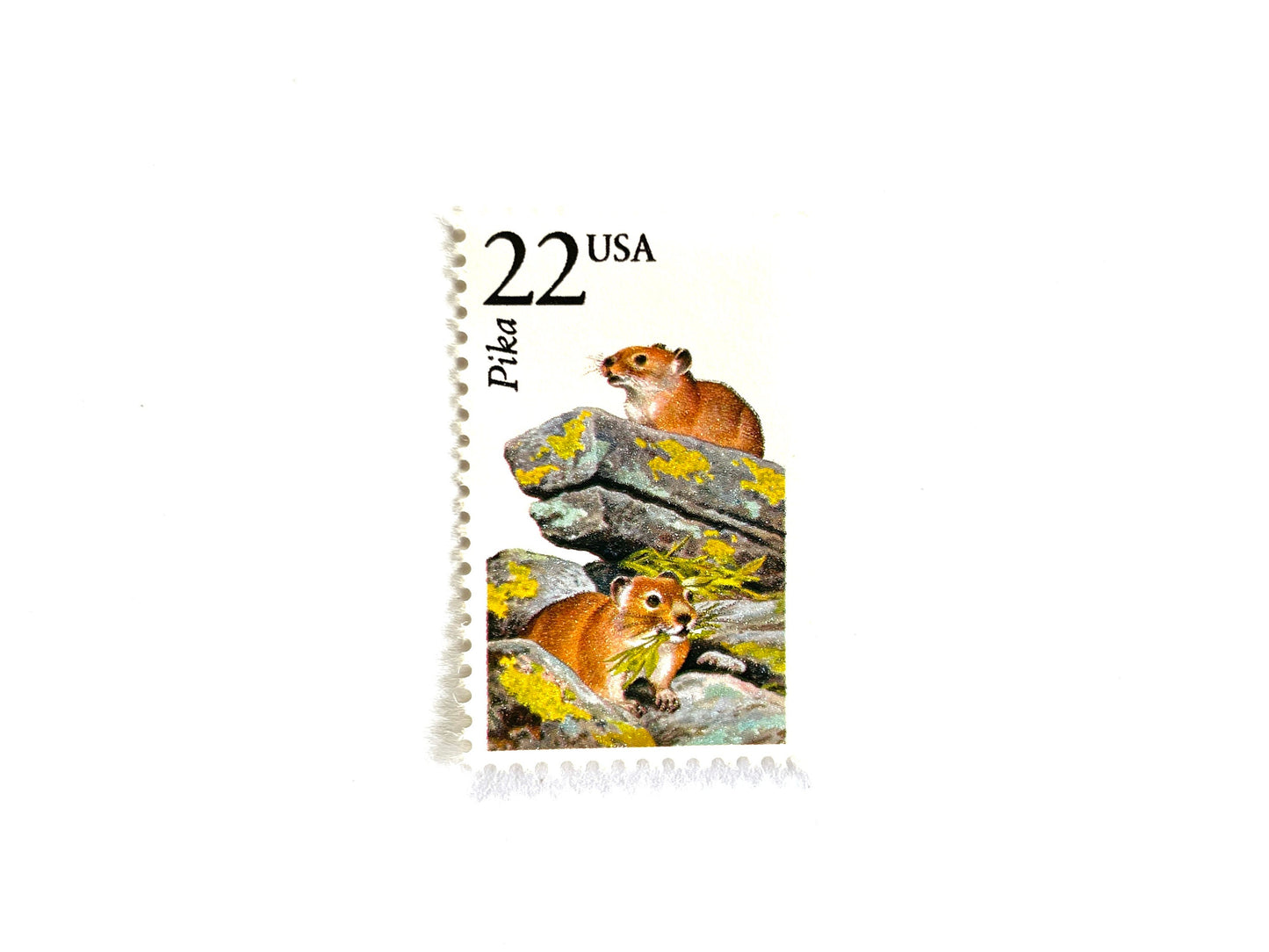Pika Stamps (North American Wildlife Series, Multicolored) Vintage Unused USPS Postage 22c