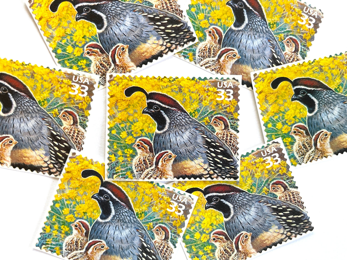 Sonoran Desert Gambel's Quail Stamps (Nature of America Series, Birds, Yellow, Desert) Vintage Unused USPS Postage 33c