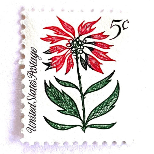 Image of 1964 Third Christmas Issue “Poinsettia” 5-cent mail stamps. Scott #1256. Stamp Themes: Christmas, Holidays, Nochebuena, Flower of the Holy Night, Red Flower, Red Plant, Winter Flora, Winter Wedding, Mexico, Mexican Wedding. Green and red postage stamp.