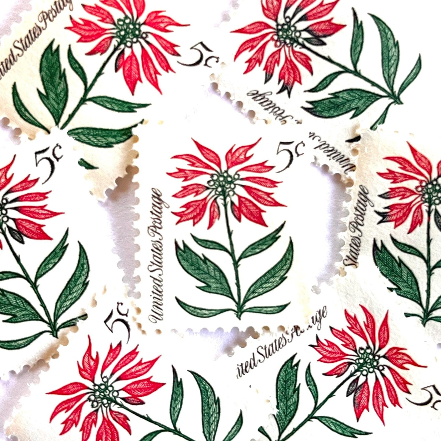 Image of 1964 Third Christmas Issue “Poinsettia” 5-cent mail stamps. Scott #1256. Stamp Themes: Christmas, Holidays, Nochebuena, Flower of the Holy Night, Red Flower, Red Plant, Winter Flora, Winter Wedding, Mexico, Mexican Wedding. Green and red postage stamp.