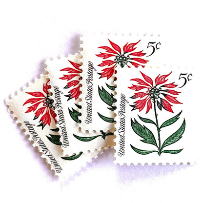 Image of 1964 Third Christmas Issue “Poinsettia” 5-cent mail stamps. Scott #1256. Stamp Themes: Christmas, Holidays, Nochebuena, Flower of the Holy Night, Red Flower, Red Plant, Winter Flora, Winter Wedding, Mexico, Mexican Wedding. Green and red postage stamp.