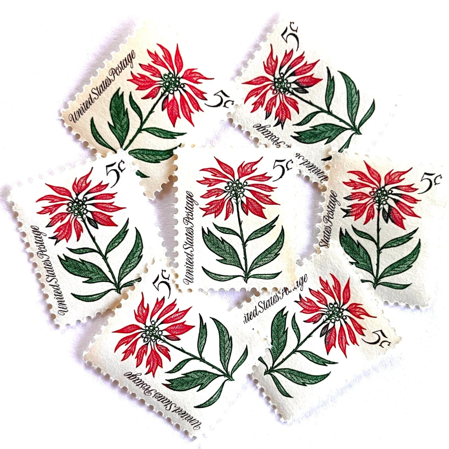 Image of 1964 Third Christmas Issue “Poinsettia” 5-cent mail stamps. Scott #1256. Stamp Themes: Christmas, Holidays, Nochebuena, Flower of the Holy Night, Red Flower, Red Plant, Winter Flora, Winter Wedding, Mexico, Mexican Wedding. Green and red postage stamp.