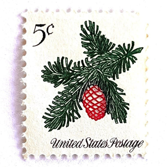 Image of 1964 Third Christmas Issue “Sprig of Conifer” 5-cent mail stamps. Scott #1257. Stamp Themes: Conifer, Pine Cone, Evergreen, Tree, Pine Needles, Holiday Decor. Green and red postage stamp.