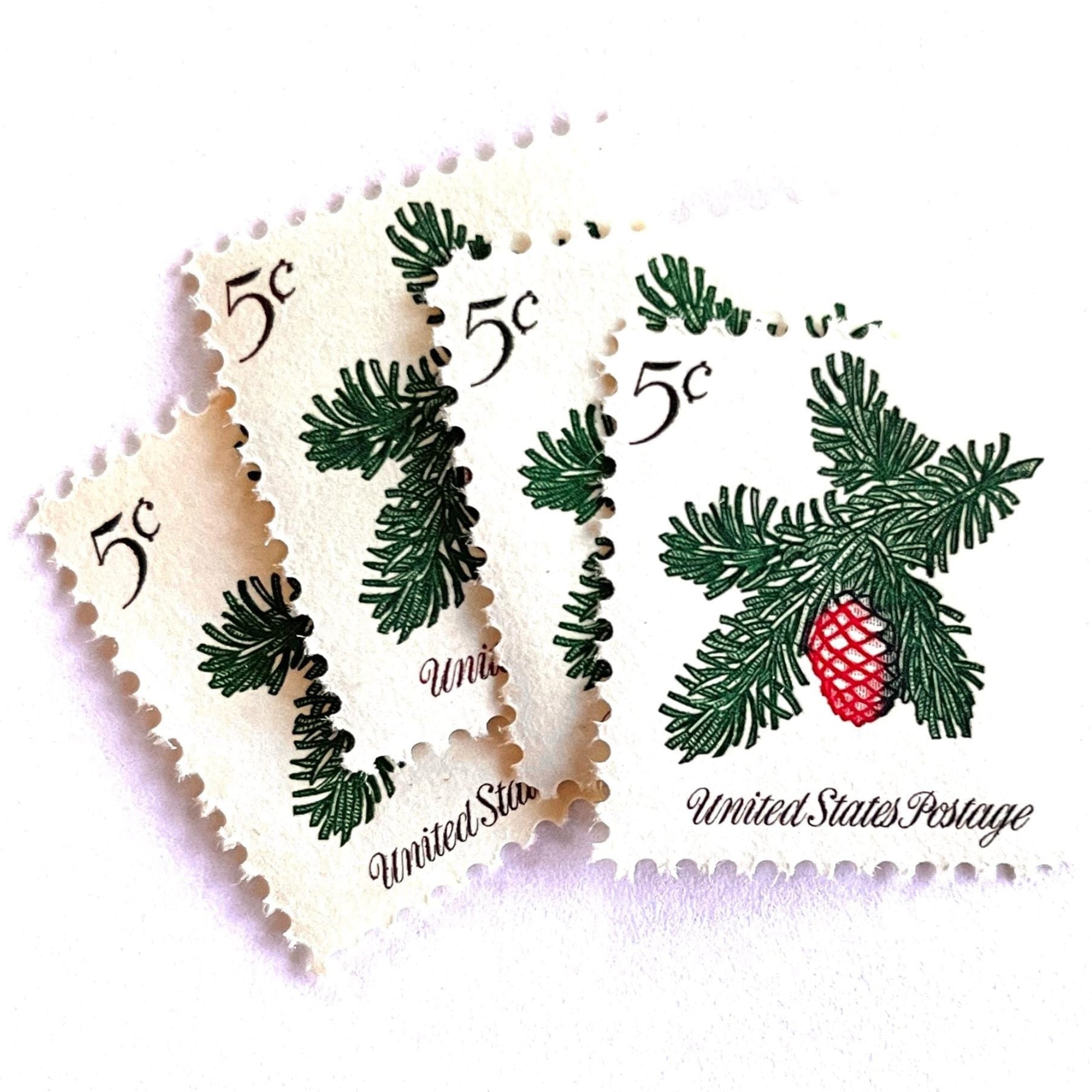 Image of 1964 Third Christmas Issue “Sprig of Conifer” 5-cent mail stamps. Scott #1257. Stamp Themes: Conifer, Pine Cone, Evergreen, Tree, Pine Needles, Holiday Decor. Green and red postage stamp.