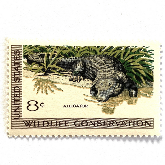 Image of four 8 cent Wildlife Conservation Series 1971 Alligator stamps. Scott #1428. Stamp themes:Wildlife, Ecology, Wetlands, Swamp, Aquatic, Florida, University of Florida, Gators, Reptile, Carnivore, Jaws, Scales, Everglades. Green postage stamp.