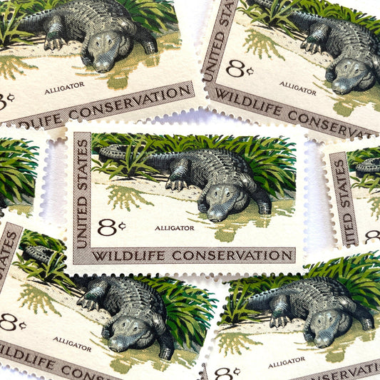 Image of four 8 cent Wildlife Conservation Series 1971 Alligator stamps. Scott #1428. Stamp themes:Wildlife, Ecology, Wetlands, Swamp, Aquatic, Florida, University of Florida, Gators, Reptile, Carnivore, Jaws, Scales, Everglades. Green postage stamp.