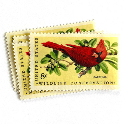 Image of 1972 Wildlife Conservation “Cardinal” 8-cent stamps. Scott #1465. Stamp Themes: Bird, Bird Watching, Bird Perched, Wildlife Conservation, Christmas, Holidays. Red postage stamps.