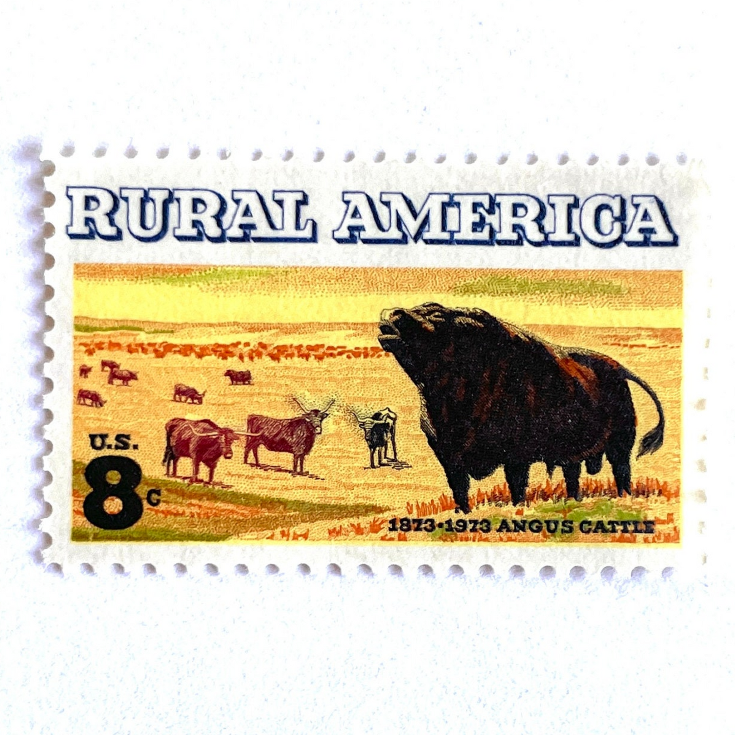 Image of 1973 Rural America Angus Cattle 8 cent stamps. Scott #1504. Stamp themes: Cattle, Livestock, Ranching, Farming, Range, Prairie, Rural America, Cowboy, Pasture Animals, Scottish Black Angus, Beef, Bull, Horns. Yellow postage stamp.